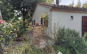 Casa Rosamatilda